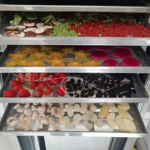 Máquina liofilizadora 10kg Mini-liofilización-máquina Máquina liofilizadora industrial para <span class=keywords><strong>Carambola</strong></span> - Product Image 6