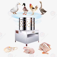 Machine à plumer les volailles multi-oiseaux à technologie de doigts en caoutchouc durable, moteur 220V pour le traitement du poulet, du dindon et de l'oie