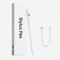 Pena Stylus Aktif Tipe-C 30 Menit 10 Jam, Pensil Digital iPad Tablet Android, Aluminium POM Pabrik OEM Logo Kustom Grosir