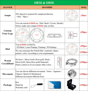 Montre en acier inoxydable OEM, cadran sectoriel, logo personnalisé, mouvement NH35 de haute qualité, montre automatique japonaise pour hommes - Product Image 4