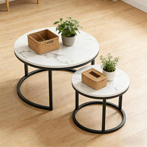 Set di Tavolini da Caffè di Lusso a 2 Pezzi, Design Minimalista Moderno, Tavolo Portatile per Ufficio e Sala da Pranzo, Arredamento per Soggiorno - Product Image 1