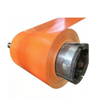 Bobine d'acier PPGI 0,1-1,2 mm Peinture PVDF Couleurs RAL Acier galvanisé prélaqué en rouleau