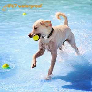 Bán buôn Pet hoạt động Màn hình 4 gam Định vị toàn cầu hệ thống Tracker các biện pháp Pet calo cho chó và mèo - Product Image 2