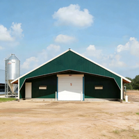 Poulailler économique en structure métallique, hangar préfabriqué pour bétail, élevage avicole à grande échelle