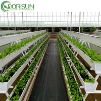 Grande serre en plastique d'usine Agriculture avec système hydroponique en PVC Fraise