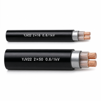 Câble de commande et d'alimentation blindé en cuivre YJV22 2 conducteurs 0,6/1 kV 2*2,5 mm² 2*4 mm² 2*6 mm² pour système de commande électrique 2*10/2*16