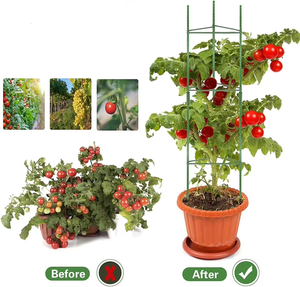 Assembler des pieux de support grimpants simples pour plantes de tomates, des <span class=keywords><strong>cages</strong></span> à tomates et des pieux - Product Image 2