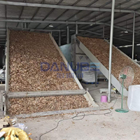 Ligne de production professionnelle pour le nettoyage, la découpe et le séchage du taro, sécheuse à bande continue en maille pour le taro
