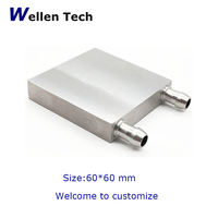 Plaque de refroidissement liquide en aluminium Wellentech 60*60*15mm, bloc de refroidissement par eau à montage en surface pour appareils de beauté et applications semi-conductrices
