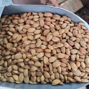 Harga Murah Kacang <span class=keywords><strong>Almond</strong></span> Pasokan Grosir Berkualitas Tinggi dan Bernutrisi - Product Image 2