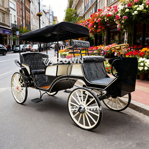 Nouvelle calèche victorienne de haute qualité et abordable pour mariages et visites touristiques avec auvent (modèle 2026) - Product Image 6