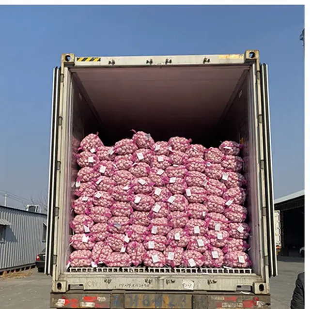 Export Leveranciers Groothandel Chinese Doos 10Kg Knoflook China Knoflook Prijs Normale Witte Verse Knoflook