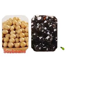 Automatic Tapioca <b>Pearls</b> Machine Thailand Tapioca <b>Pearl</b> Machine Tapioca <b>Pearls</b> Shaping Machinerer - Product Image 4