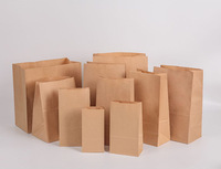 Sacs à lunch en papier brun 5x2.95x9.45 "Kraft Sack Lunch Bags