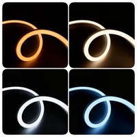 Bande LED néon longue de 40m-70m, étanche IP67, en silicone, 48V DC, pour extérieur, intérieur, bar, cinéma, bâtiment, hôtel