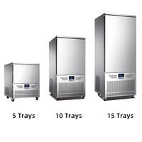 3 5 10 15 20 30 Plateaux Plug-In Blast Freezer -40 °C Freeze Auto Defrost High Quality for Meat Seafood Bakery Fruit Use