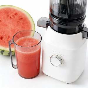 Cool Design <strong>Juicer</strong> Modern High Quality 1.5L RV Compatible Quiet Motor Smoothie Slow <strong>Juicer</strong> with Leak Proof Design - Product Image 4