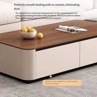 Ensemble meuble TV et table basse modernes pour salon et chambre à coucher, plateforme de rangement domestique, design de luxe léger