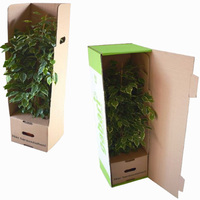 Boîte d'expédition pour plantes, emballage de plantes en carton personnalisé, vente en gros, chine