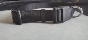 Kingtale kerah anjing nilon dapat diatur kerah hewan peliharaan 1 inci 3/4 inci lebar 5/8 inci untuk anjing kecil sedang besar - Product Image 4