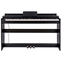 The First Choice of Keyboard Electronic Instruments for the Music Stage Professional Compact Plastic Upright Digital Piano