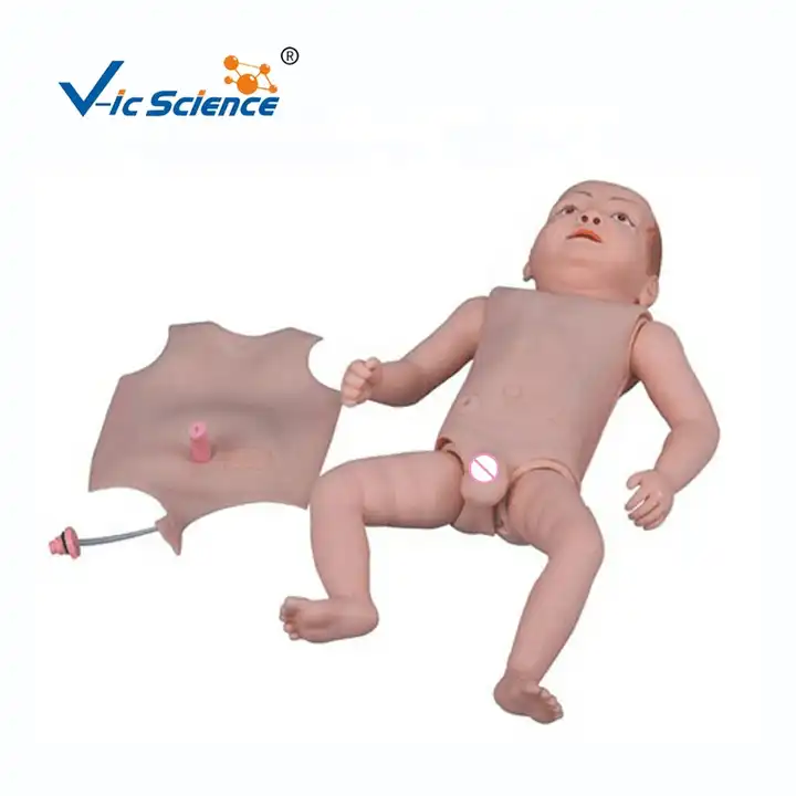 Mannequin d'intubation pour Nouveau-né, modèle d'enseignement de  l'éducation à l'intubation en PVC, modèle de simulateur de Mannequin  d'intubation