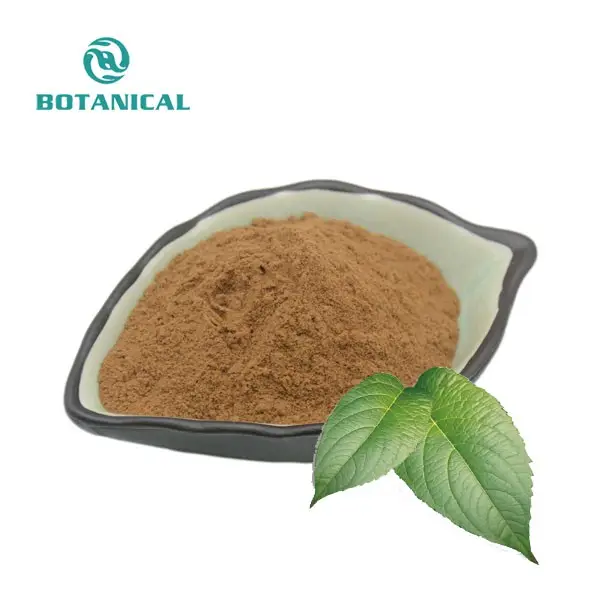 Water Soluble Cosmetics Ingredients Eucommia Ulmoides Leaf Extract Chlorogenic Acid 5%-98%