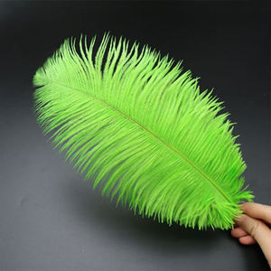 Grande plume d'autruche multicolore pour la décoration <span class=keywords><strong>de</strong></span> mariage Oiseau d'Afrique du Sud Costume <span class=keywords><strong>de</strong></span> carnaval d'art réel - Product Image 2