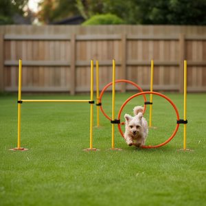 Ensemble d'équipement d'agility portable pour chien avec poteaux de tressage et anneau de saut pour l'entraînement des animaux de compagnie - Product Image 2