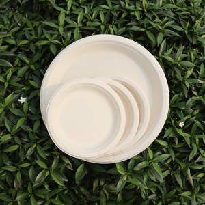 Meilleure Qualité STAVIAN Écologique Biodégradable Compostable Bagasse Canne à Sucre 10 "Assiette Jetable Quantité Personnalisable - Product Image 1