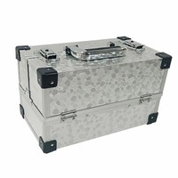 Boîte de rangement de maquillage professionnel Aluminummakeup bag Case Travel Cosmetic box case pour les femmes