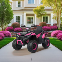 Quad électrique pour enfants fabriqué en usine, 24V 12V, batterie, 4 roues, moteur, moto, matériau plastique durable