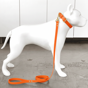 Premium oranje kunstleren hondenhalsband en tuigje set met metalen accessoires - Product Image 2