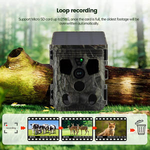 Caméra de <span class=keywords><strong>chasse</strong></span> solaire <span class=keywords><strong>Suntek</strong></span> HC-601A à longue autonomie, 4K CMOS, étanche IP65, vision nocturne infrarouge grand angle 120° - Product Image 4