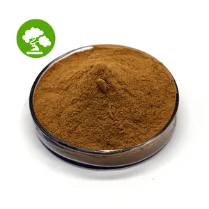 Factory Supply Green Tea Powder Tea Polyphenols 30%~98% Food Grade Water Soluble Green Tea Extract