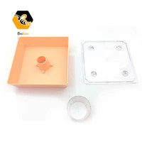 Vente en gros Nouvel outil d'apiculture Mangeoire carrée européenne Mangeoire pour ruche Mangeoire pour abeilles Outils pour abeilles
