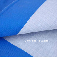 4mil 5mil Poly Bâche 60gsm 80gsm Bâche PE étanche légère pour usage domestique Motif enduit pour garçons et filles