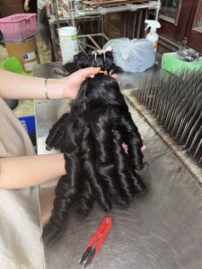 Extensions de cheveux vierges Remy 100% naturelles, cheveux humains vietnamiens très demandés pour le marché mondial - Product Image 4