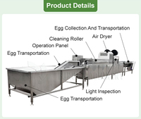 Laveuse et trieuse d'œufs en acier inoxydable pour volailles, canards, poulets, machine de lavage et de tri des coquilles d'œufs