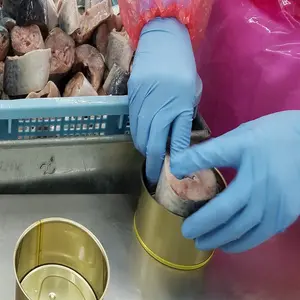 Dijual Makarel Rebus Ikan Makanan Laut Kalengan Kualitas Tinggi Jepang