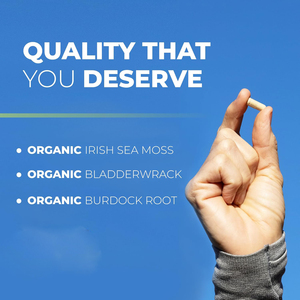 Lumut laut dan teh hijau pil penurun berat badan | Kapsul penguat metabolisme & dukungan duri penekan nafsu makan & dukungan imun - Product Image 6