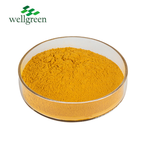 Organic Natural Pigment Fine Powder Liposome <strong>Curcumin</strong> Turmeric Root <strong>Extract</strong> <strong>95</strong>% <strong>Curcumin</strong> Powder - Product Image 3