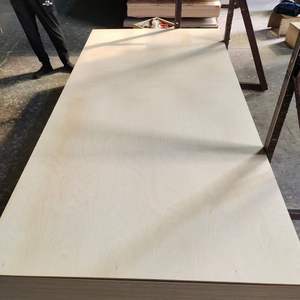 <span class=keywords><strong>Contreplaqué</strong></span> marin phénolique imperméable de WBP 15mm <span class=keywords><strong>contreplaqué</strong></span> de bouleau d'eucalyptus de feuillus de bois dur <span class=keywords><strong>pour</strong></span> la construction navale de <span class=keywords><strong>plancher</strong></span> de camion ou de conteneur - Product Image 3