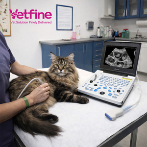 Beste prijs draagbare echografiemachine, veterinaire echografie, zwart-wit echografie scanner, ecografos veterinarios - Product Image 1