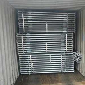 Échafaudages auto-élévateurs réglables pour les accessoires d'étayage de construction soutiennent la Chine - Product Image 6