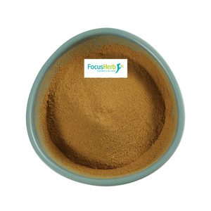 FocusHerb Extrait de corps fruiteur de champignon Reishi biologique de qualité alimentaire supérieure, 30% de polysaccharides, poudre extraite par solvant - Product Image 1