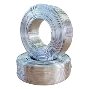 Elektrische/Thermisch Verzinkt Stalen Strip Staalplaat Stalen Plaat 50*0.45 Mm Gi Coils