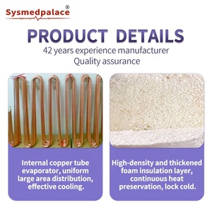 Réfrigérateur <span class=keywords><strong>mortuaire</strong></span> Sysmedpalace pour hôpital et salon funéraire, congélateur pour 3 corps - Product Image 5