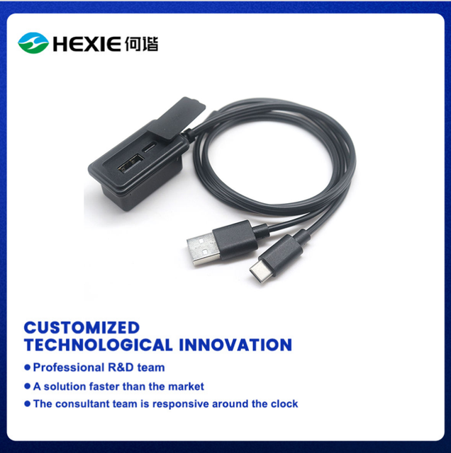 CE RoHS Dual USB Type C Charging Port External Panel Mount Extension Cable with Braid Shielding PVC Jacket for Backpack Luggage