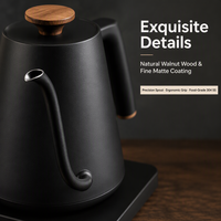 Bouilloire électrique en acier inoxydable 1000W, contrôle numérique de la température, 800ML, maintien au chaud, base rotative à 360 degrés, arrêt automatique